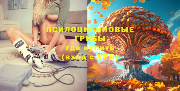 метадон Магас