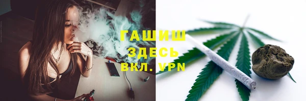 гашик Мегион