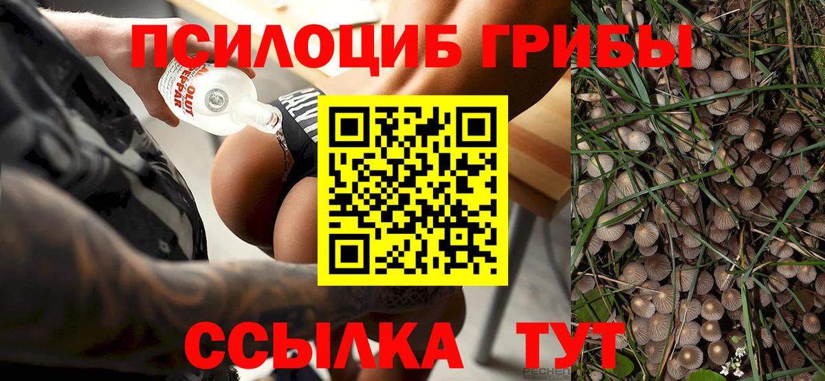 Галлюциногенные грибы GOLDEN TEACHER Воронеж