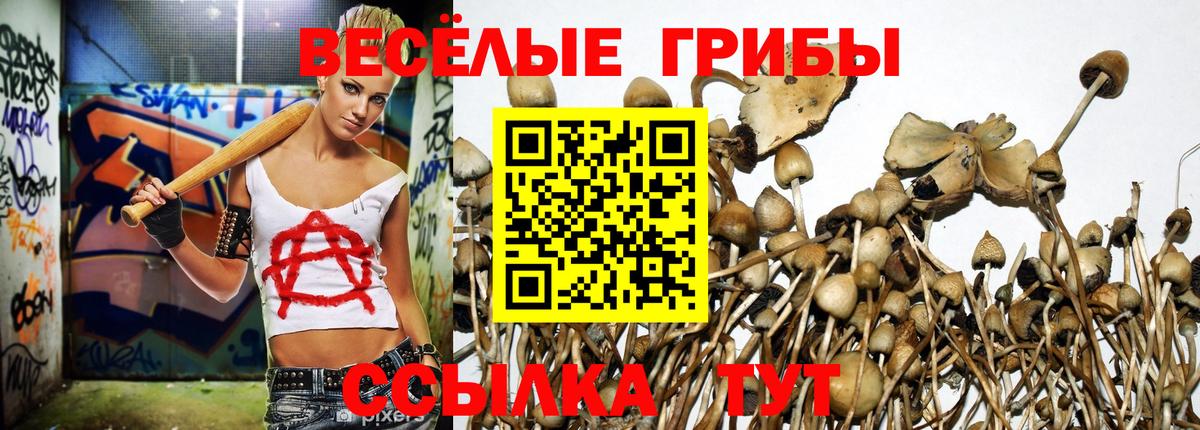 Псилоцибиновые грибы мицелий Воронеж